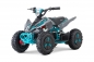 Preview: Kinder Quad Elektro Nitro Motors 1000W Eco mini Kinder Quad Python Snowy-Profile L Sport 6"