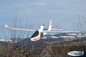Preview: RC Flugzeug Sky King 3CH 2,4 GHZ Lipo RTF