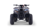 Preview: Kinder Quad 125ccm 4 Takt E-Starter Edition WARRIOR LCD Anzeige ATV