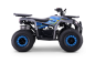 Preview: Kinder Quad 125ccm 4 Takt E-Starter Edition WARRIOR LCD Anzeige ATV