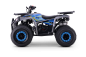 Preview: Kinder Quad 125ccm 4 Takt E-Starter Edition WARRIOR LCD Anzeige ATV