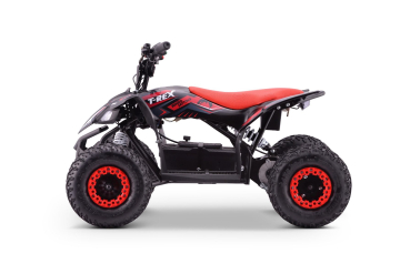 Kinder Quad ATV Elektro 48V 1300W 33km/h Eco TRX