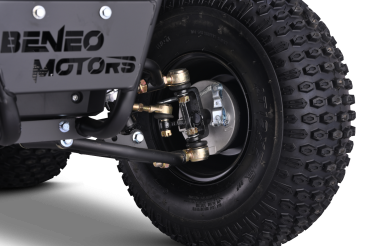 Kinder Quad 125ccm 4 Takt E-Starter Edition WARRIOR LCD Anzeige ATV