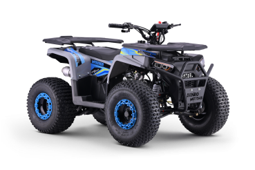 Kinder Quad 125ccm 4 Takt E-Starter Edition WARRIOR LCD Anzeige ATV