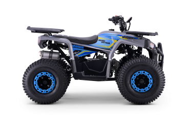 Kinder Quad 125ccm 4 Takt E-Starter Edition WARRIOR LCD Anzeige ATV