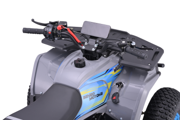 Kinder Quad 125ccm 4 Takt E-Starter Edition WARRIOR LCD Anzeige ATV