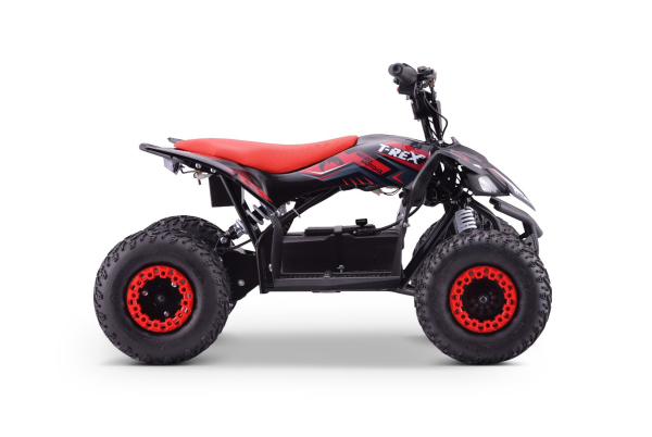 Kinder Quad ATV Elektro 48V 1300W 33km/h Eco TRX