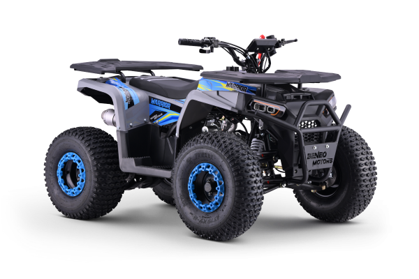 Kinder Quad 125ccm 4 Takt E-Starter Edition WARRIOR LCD Anzeige ATV