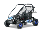 Kinderfahrzeug Buggy RSX Zweisitzer XXL 60V 2000W Brushless Quad Elektroauto