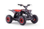 Kinder Quad ATV Elektro 48V 1300W 33km/h Eco TRX