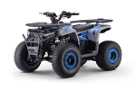 Kinder Quad 125ccm 4 Takt E-Starter Edition WARRIOR LCD Anzeige ATV